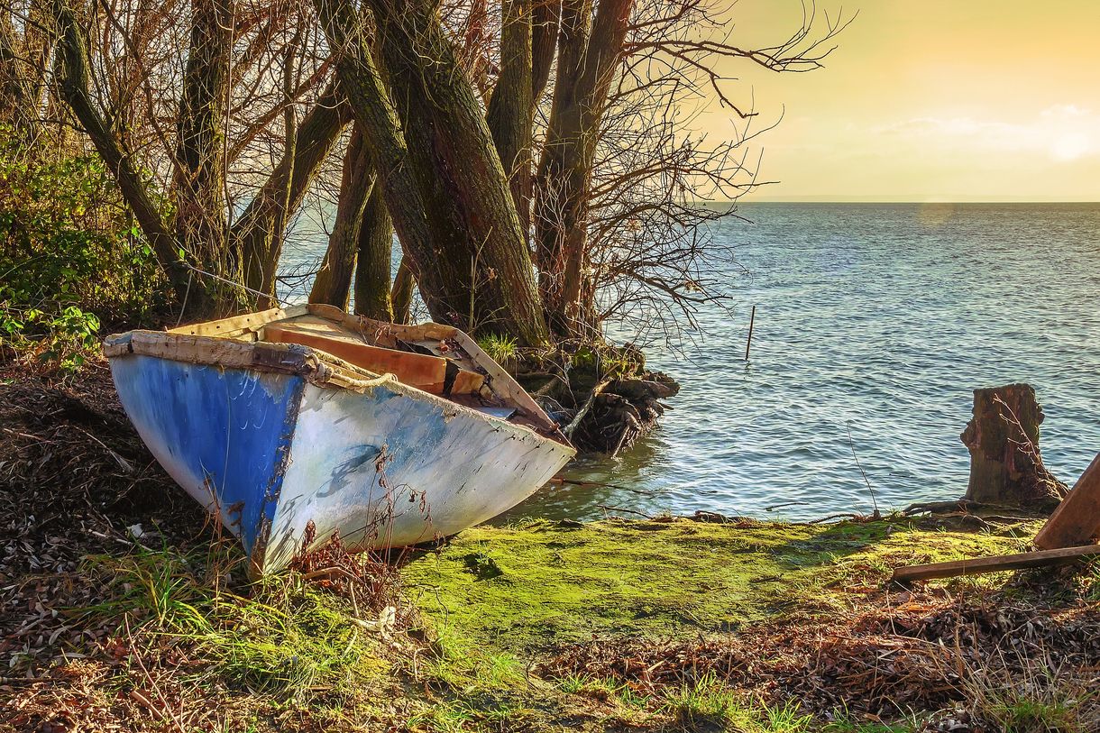 Picture To Oil Painting Converter Software Free Download