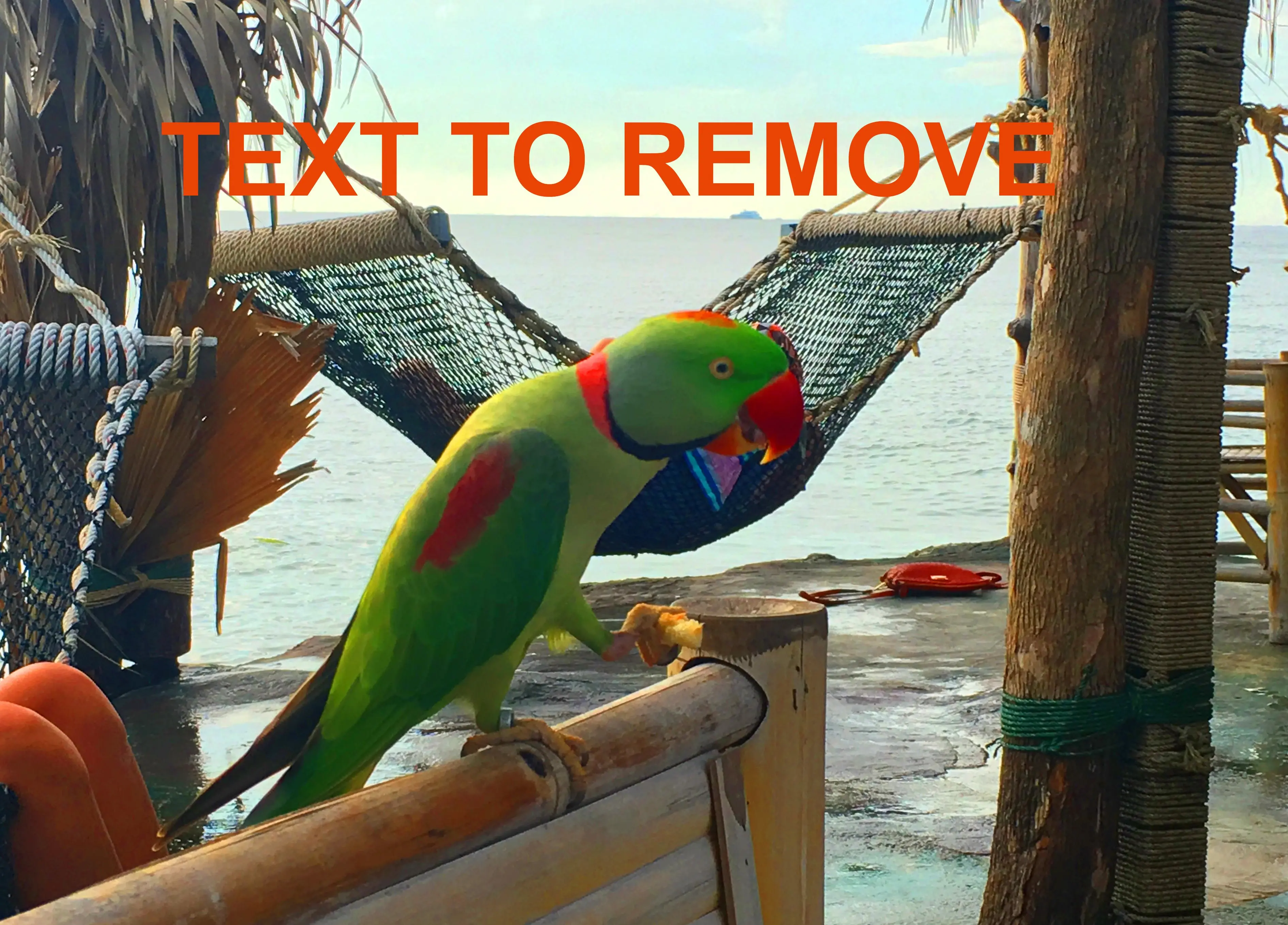 Remove text from image - before.