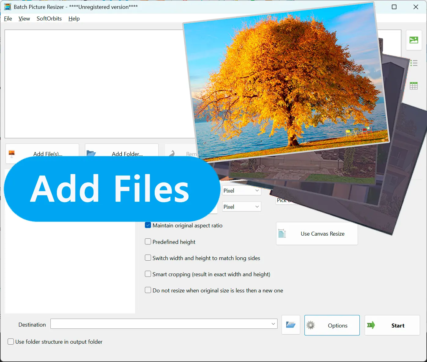 Add RAW Images to the Program.