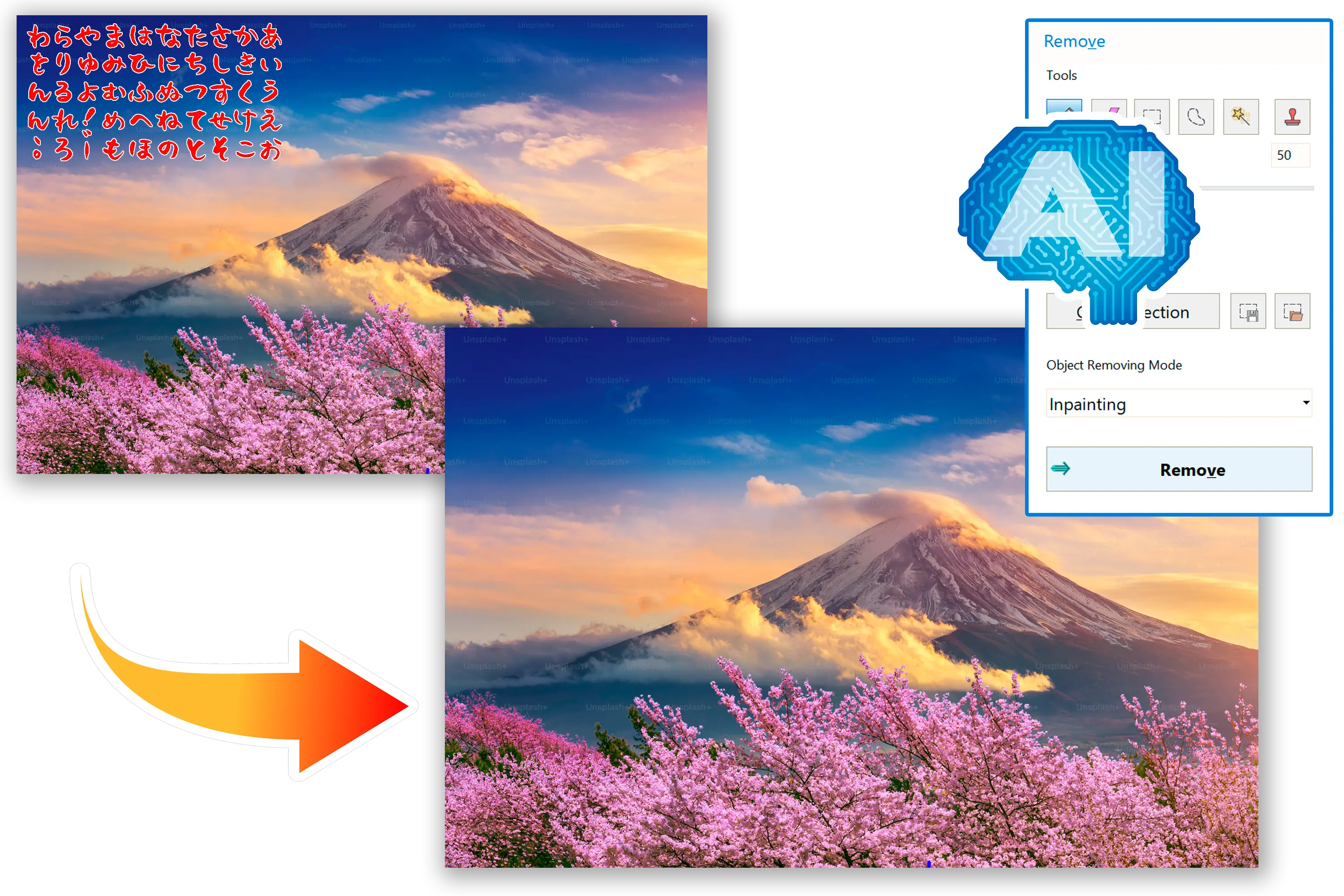 Precise AI Removal of Drawings.