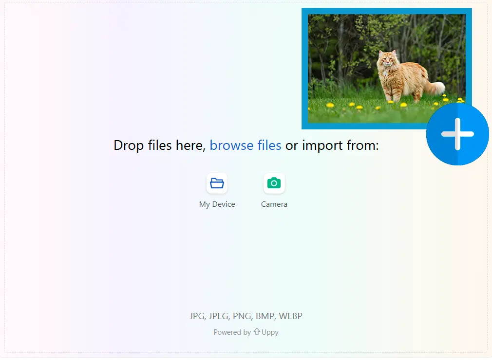 Upload a Reference Image.
