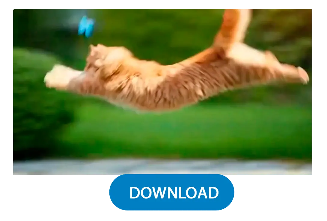 Generate & Download.