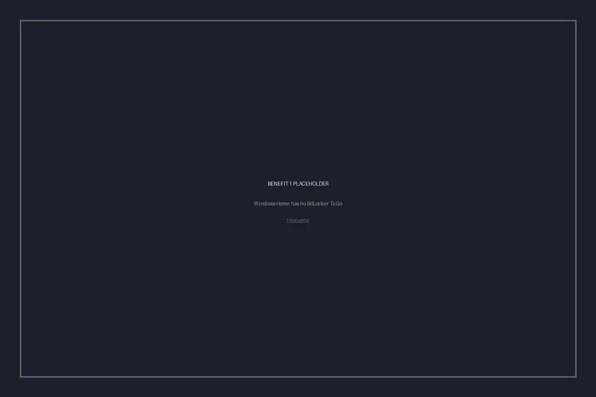 Windows Home cannot turn on BitLocker To Go.