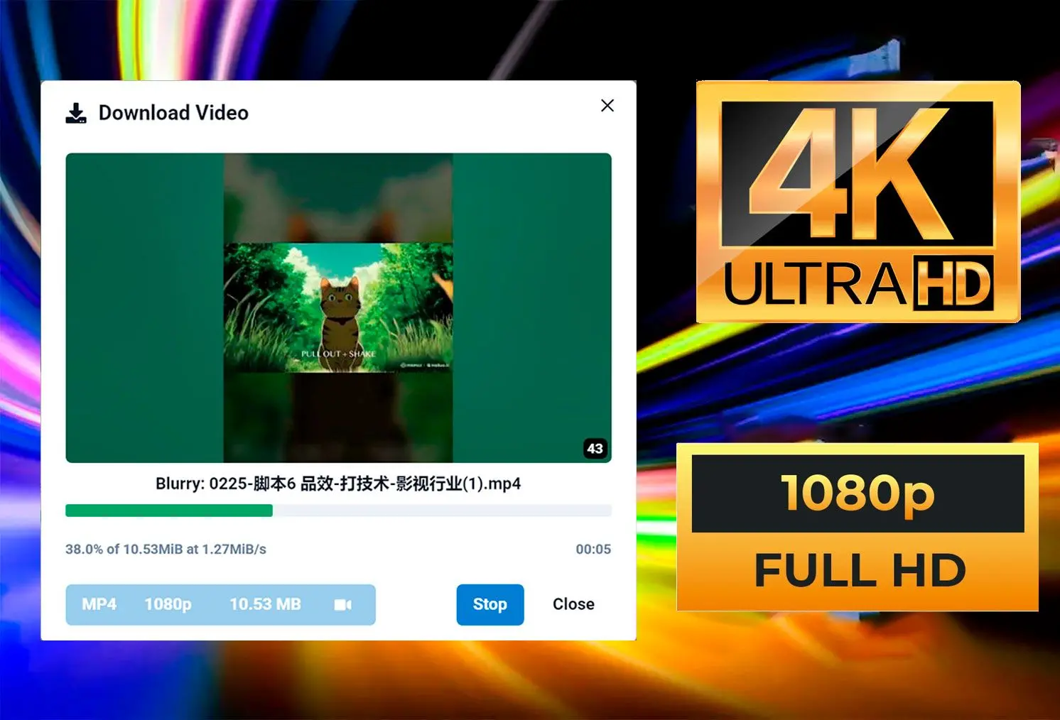 HD and 4K Quality.
