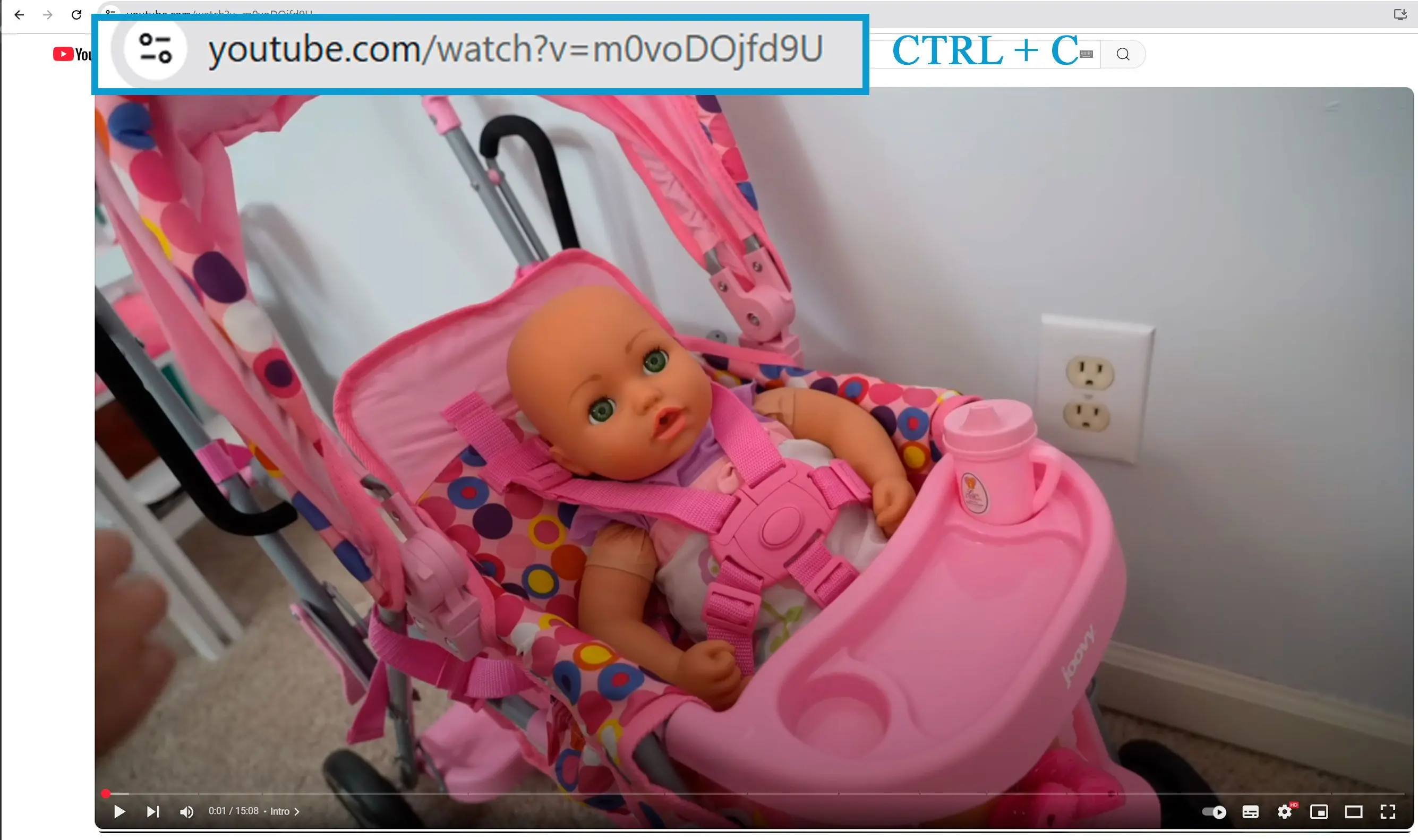 Copy Your YouTube Video URL.