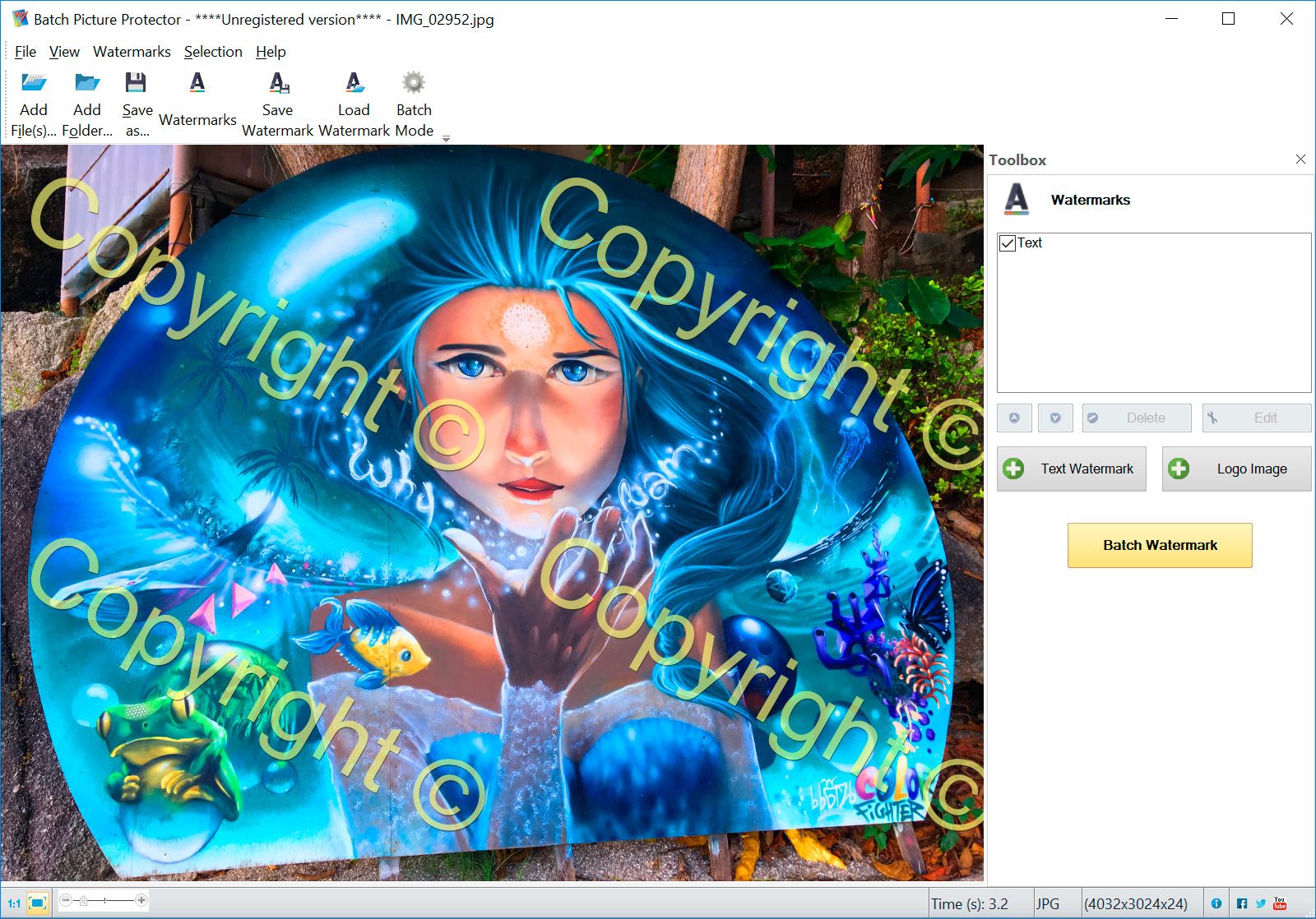 Windows 7 Batch Picture Protector 7.2 full