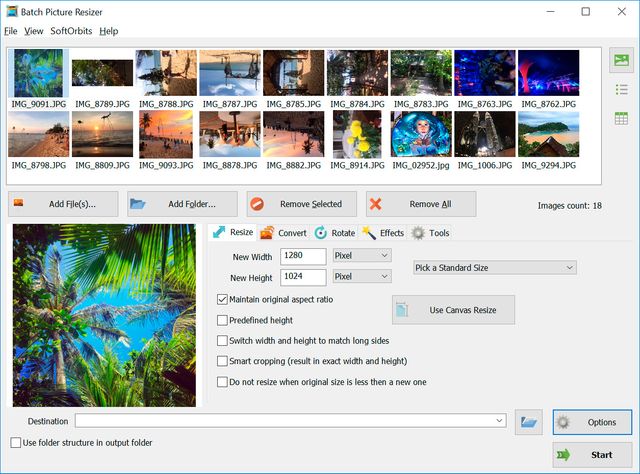 nikon nef to jpg converter online
