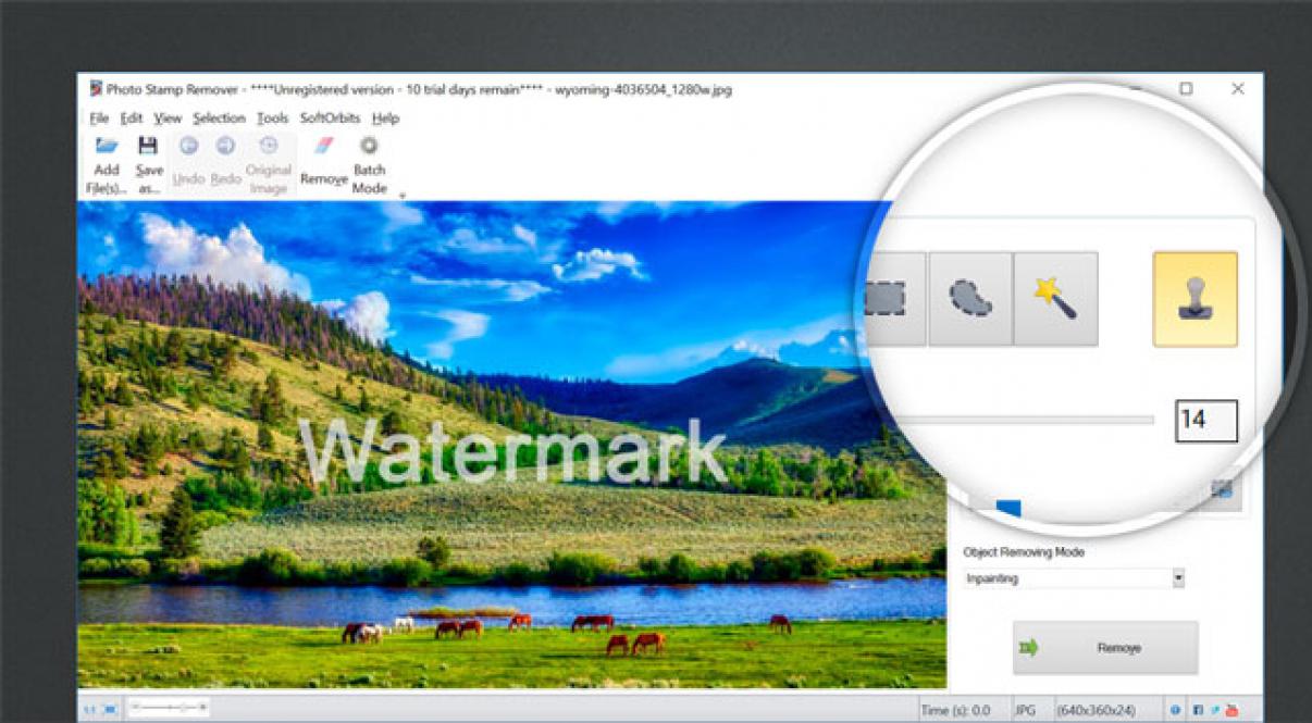 remove watermark using clone stamp tool.
