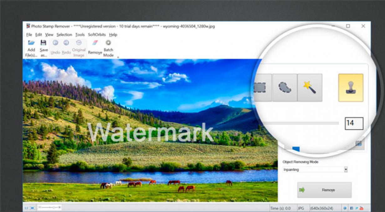 remove watermark using clone stamp tool.