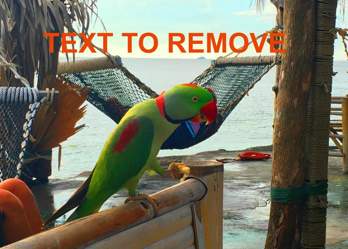 remove text from image - before.