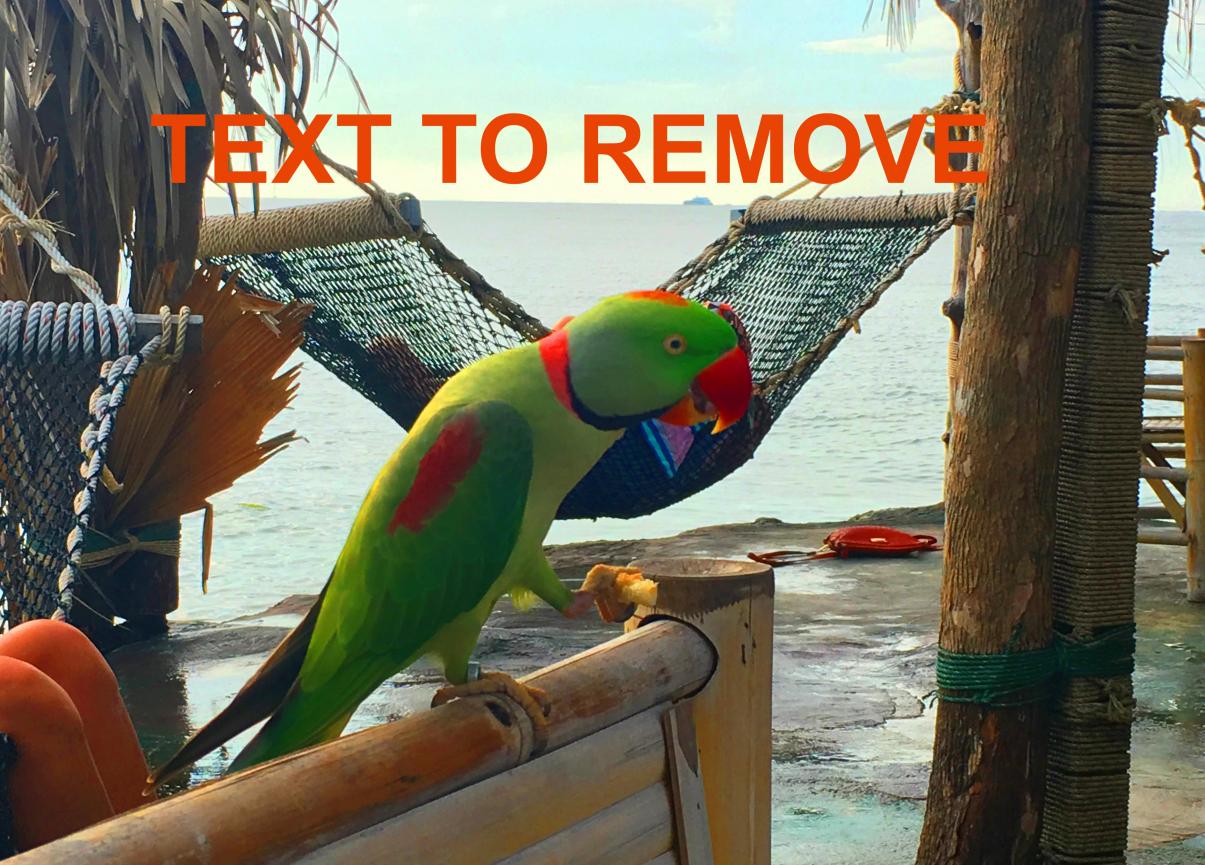 remove text from image - before.